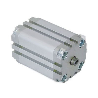 ADVU-63-15-A-P-A 156646 পিস্টন অ্যাকচুয়েটর এয়ার পিস্টন সিলিন্ডার