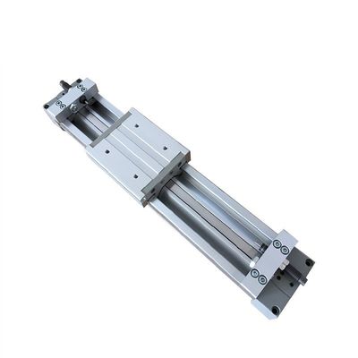 MY1M50-100H / 200 / 300 /... 1500/... / 2000H পিস্টন নিউম্যাটিক সিলিন্ডার