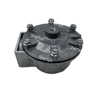 GOYEN পালস ভালভ RCA35T RCA32T 1.5 ইঞ্চি ইলেক্ট্রোম্যাগনেটিক পালস ভালভ স্প্রে ভালভ বায়ুসংক্রান্ত ভালভ