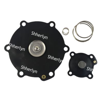 মেকায়ার ২-ইঞ্চি ডায়াফ্রাম মেরামতের কিট DB116 DB16 VNP216 VEM216 VNP316 VITON কাস্টমাইজেশন