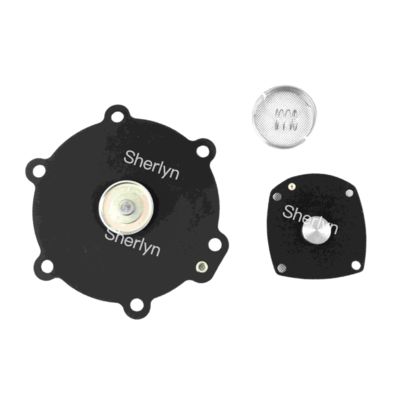 এম৫০ ডায়াফ্রাগম মেরামত কিট টার্বো ২ " DN50 FP55 FM55 SQP50 SQM60