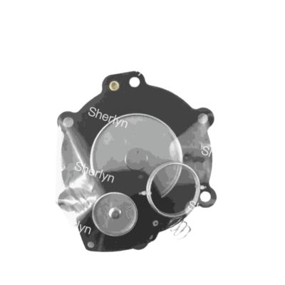 এম৫০ ডায়াফ্রাগম মেরামত কিট টার্বো ২ " DN50 FP55 FM55 SQP50 SQM60