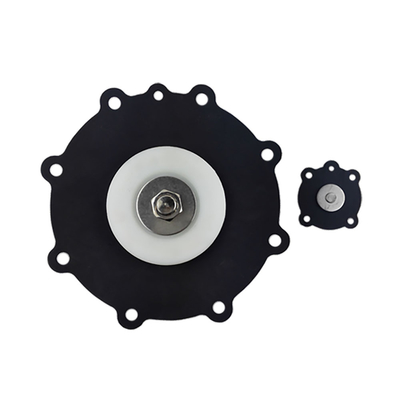 JIHI 80 JOIL টাইপ সোলিনয়েড পালস ডায়াফ্রাগম ভালভ 3'' JISI 80 JISR 80 JIHI 80 JIHR 80 পালস ভালভ ঝিল্লি কিট