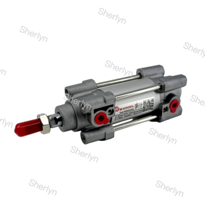 RA/802032/M/125 ডাবল অ্যাক্টিং সিলিন্ডার 32mm ব্যাসার্ধ 125mm স্ট্রোক
