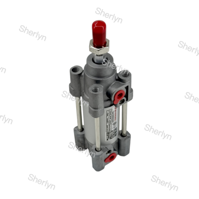 RA/802032/M/125 ডাবল অ্যাক্টিং সিলিন্ডার 32mm ব্যাসার্ধ 125mm স্ট্রোক