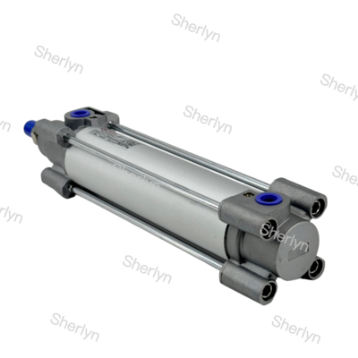 নরগ্রেন RA/802040/M/100 এর জন্য 40 মিমি বায়ুসংক্রান্ত সিলিন্ডার 100 মিমি স্ট্রোক 40 মিমি বিয়ার