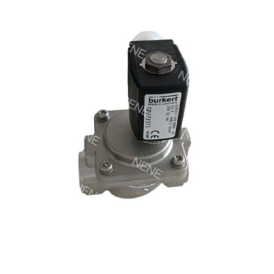 Burkert Valve FKM সীল 00228396/00228397/00228398 NO G1 1/4