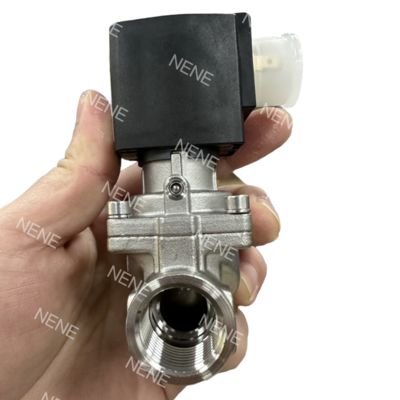 Burkert Valve FKM সীল 00228396/00228397/00228398 NO G1 1/4