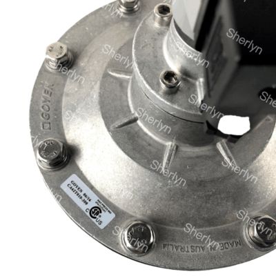 GOYEN  বৈদ্যুতিক চুম্বকীয় পালস ভালভ CA62T ২ ১/২ রাইট অ্যাঙ্গেল টাইপ উপযুক্ত ডায়াফ্রাম K5004 K5000