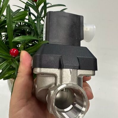 BurkeRT 6213EV 00222168 00222169 00222170 স্বাভাবিকভাবে বন্ধ সোলিনয়েড ভালভ স্টেইনলেস স্টীল সোলিনয়েড ভালভ বায়ুসংক্রান্ত নিয়ন্ত্রণ ভালভ