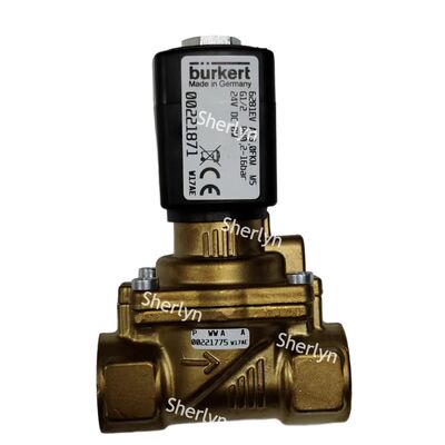 Burkert Solenoid Valve 00322511 DC24V 6281 টাইপ ওয়াটার ভ্যালভ G1/4 দুই পজিশন স্বাভাবিকভাবে বন্ধ টাইপ