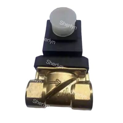 Burkert 6281 সিরিজ 00221868 G3/8 2-পজিশন 2-ওয়ে FKM সিলড DC24V