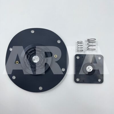 ২-ইঞ্চি পালস ভালভ ডায়াফ্রাম বুশজোস্ট মেরামতি কিট ১২৪৭৭৩২ নরগ্রেন ৮৪৯৩৬৩৫ ০০০