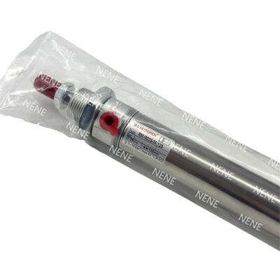 RM/28010/M/50 Ø10×50 মিমি চৌম্বকীয় গোলাকার সিলিন্ডার আইএমআই নরগ্রেন একক অভিনয় কমপ্যাক্ট অটোমেশন সিলিন্ডার