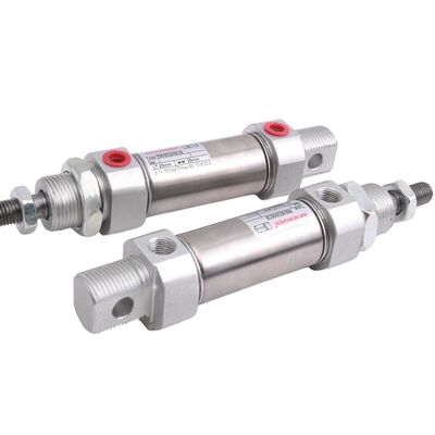 RM/28012/160 ভারী দায়িত্ব কম্প্যাক্ট Ø12mm 160mm স্ট্রোক গোলাকার সিলিন্ডার আইএমআই নরগ্রেন রিড সুইচ সামঞ্জস্যপূর্ণ