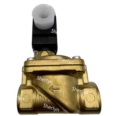 বুরকার্ট সোলিনয়েড ভালভ 00221930 6281 টাইপ G3/4 2/2 সাধারণত DC24V খোলে