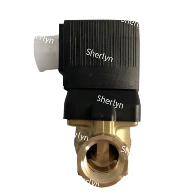 ব্রাস বুরকার্ট সোলিনয়েড ভালভ 00221934 G3/4 DC24V