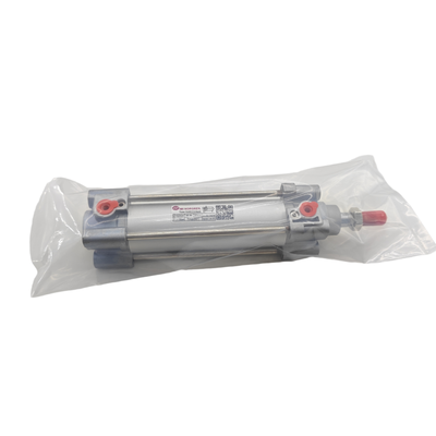 ISO 15552 RA/802063/M/800 এক্সটেন্ডেড স্ট্রোক এয়ার সিলিন্ডার IMI নরগ্রেন 800mm G3/8 ACS কুশনিং সহ
