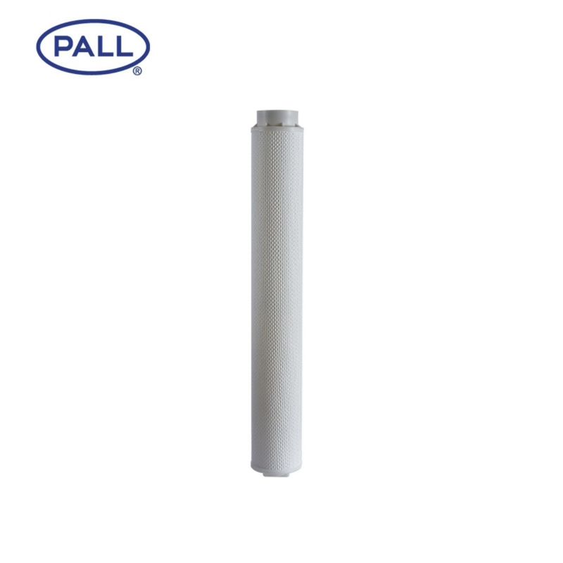 HC6300FCZ26Z PALL সুনির্দিষ্ট ফিল্টার উপাদানগুলি ফ্লোরিন রাবার সিল সহ