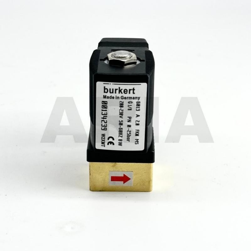 00134239 220V 6013 প্রকার IP65 সোলিনয়েড ভালভ BURKERT G1/8 ইঞ্চি * 2/2 স্বাভাবিকভাবে বন্ধ