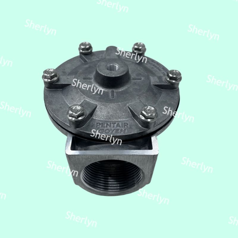 GOYEN পালস ভালভ RCA35T RCA32T 1.5 ইঞ্চি ইলেক্ট্রোম্যাগনেটিক পালস ভালভ স্প্রে ভালভ বায়ুসংক্রান্ত ভালভ