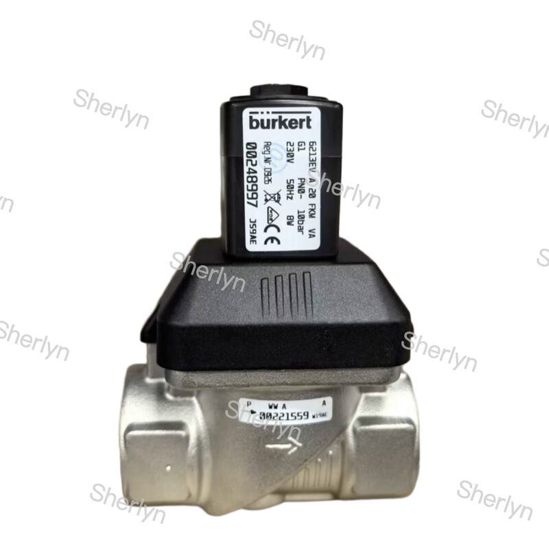 Type 6281 G1 BURKERT Oxidation-resisting Steel Electromagnetic Valve 00228395 AC220V