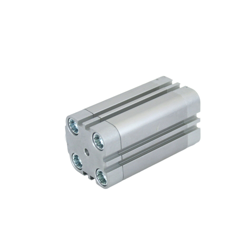এন্ড পজিশন কুশনিং ফেস্টো ADVU-25-20-P-A 156525 25mm বোর 20mm স্ট্রোক ইন্টারনাল থ্রেড মিনিয়েচার নিউমেটিক সিলিন্ডার M5 পোর্ট ডাবল-অ্যাক্টিং ম্যাগনেটিক পিস্টন আইএসও 6432 প্রেস ফিক্সচারের জন্য