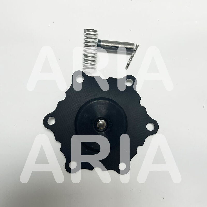 ASCO মেরামত কিট K302284 K302383 জন্য SCE210D022 8210G022 সোলিনয়েড ভালভ, 1-1/2 "DN40 ডায়াফ্রাম খুচরা যন্ত্রাংশ