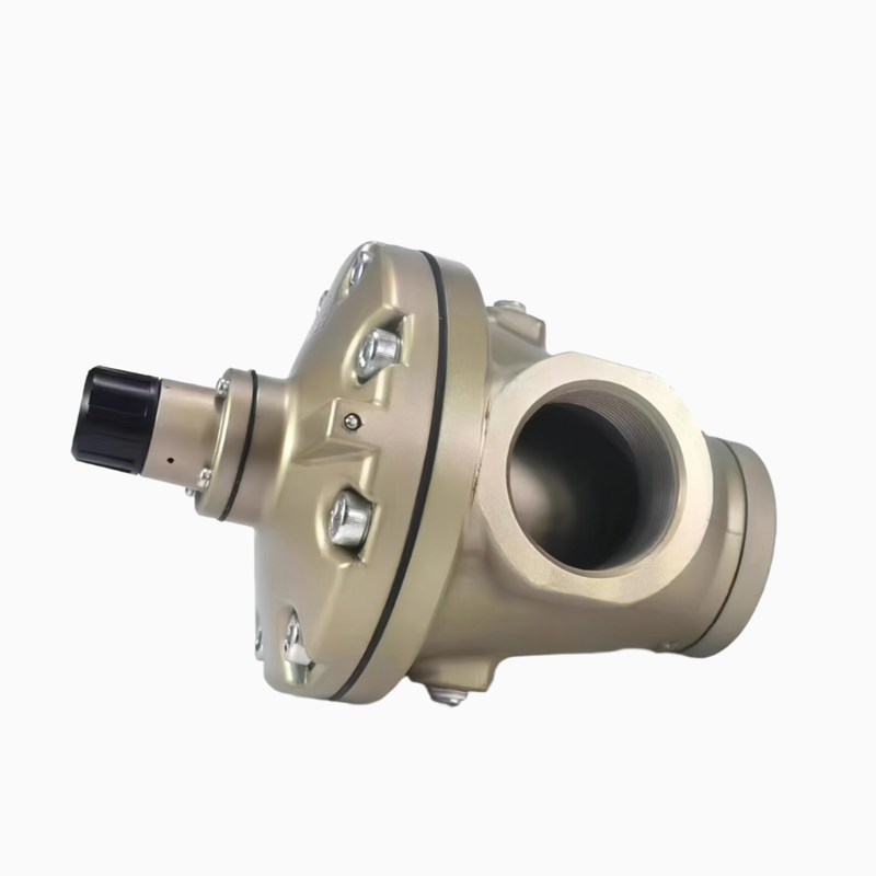 SMC AR925-20G-X218 AR935-20G-X218 বড় আকারের শিল্প নিয়ন্ত্রক অনবোর্ড গেজ সরাসরি চাপ পড়ার জন্য প্রশস্ত পরিবেষ্টিত তাপমাত্রা বায়ুসংক্রান্ত পরীক্ষা বেঞ্চ এবং প্রক্রিয়া নিয়ন্ত্রণ পরিস্থিতির জন্য উপযুক্ত