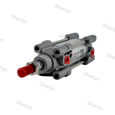 RA/802032/M/125 ডাবল অ্যাক্টিং সিলিন্ডার 32mm ব্যাসার্ধ 125mm স্ট্রোক