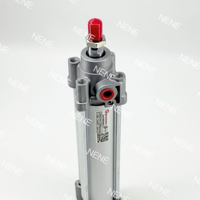 RA/802032/M/50 দ্বৈত কার্যকরী অপারেশন পিস্টন নিউম্যাটিক সিলিন্ডার ফিল্টার করা মাধ্যম সহ ISO 15552 স্ট্যান্ডার্ড নরগ্রেন