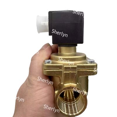 ব্রাস বুরকার্ট সোলিনয়েড ভালভ 00221934 G3/4 DC24V